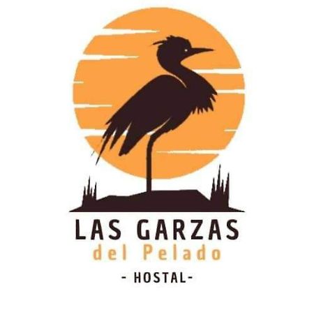 Hostal Las Garzas Del Pelado Плайяс Экстерьер фото